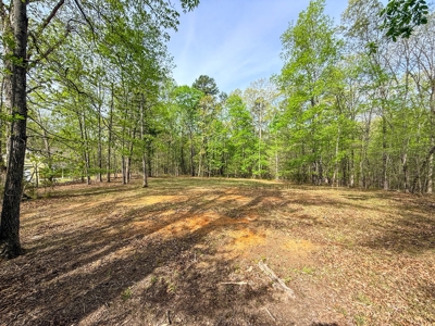 Build-Ready Kerr Lake Lot with Dock Access Nearby - image 16