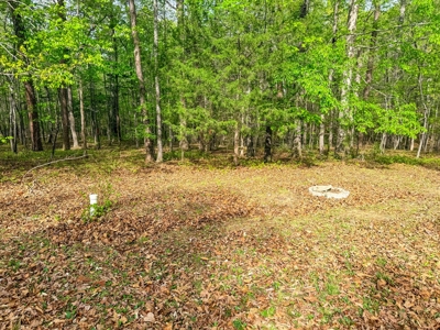 Build-Ready Kerr Lake Lot with Dock Access Nearby - image 17