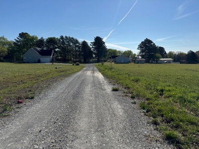 Lot For Sale In Salem Arkansas - image 1