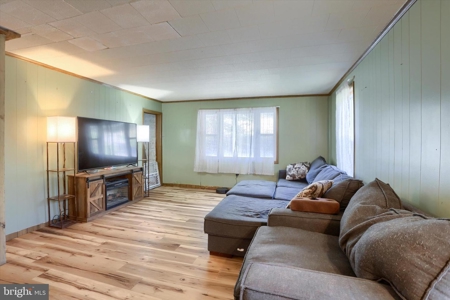 226 Deep Creek Rd, Hegins, PA 17938 - image 4