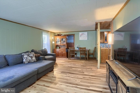 226 Deep Creek Rd, Hegins, PA 17938 - image 3