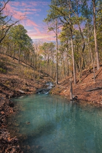 20 Acres Prime Hunting Land SE OK Potato Hills W/ Spring Water - image 1