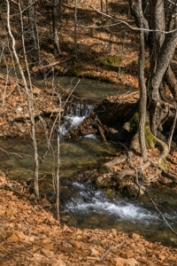 20 Acres Prime Hunting Land SE OK Potato Hills W/ Spring Water - image 2