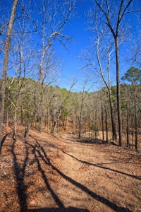 20 Acres Prime Hunting Land SE OK Potato Hills W/ Spring Water - image 10