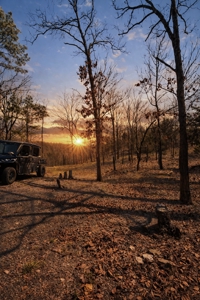 20 Acres Prime Hunting Land SE OK Potato Hills W/ Spring Water - image 3