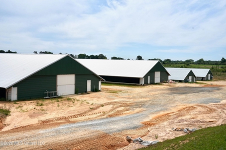 Collins, MS Poultry Pullet Farm for Sale - image 45