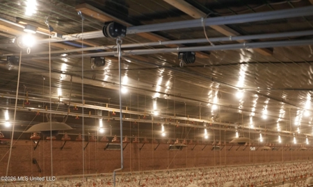 Collins, MS Poultry Pullet Farm for Sale - image 35
