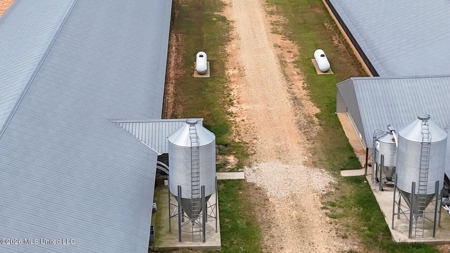 Collins, MS Poultry Pullet Farm for Sale - image 8