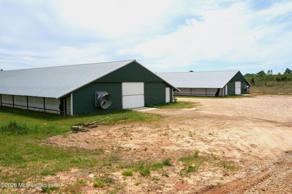 Collins, MS Poultry Pullet Farm for Sale