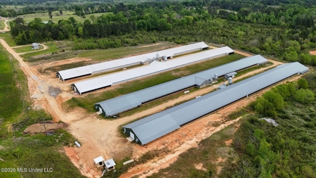 Collins, MS Poultry Pullet Farm for Sale - image 1