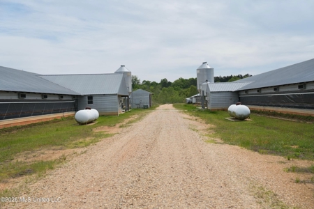 Collins, MS Poultry Pullet Farm for Sale - image 17