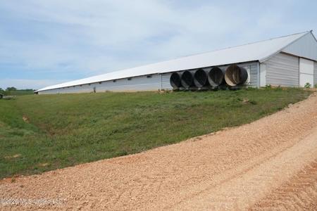 Collins, MS Poultry Pullet Farm for Sale - image 21