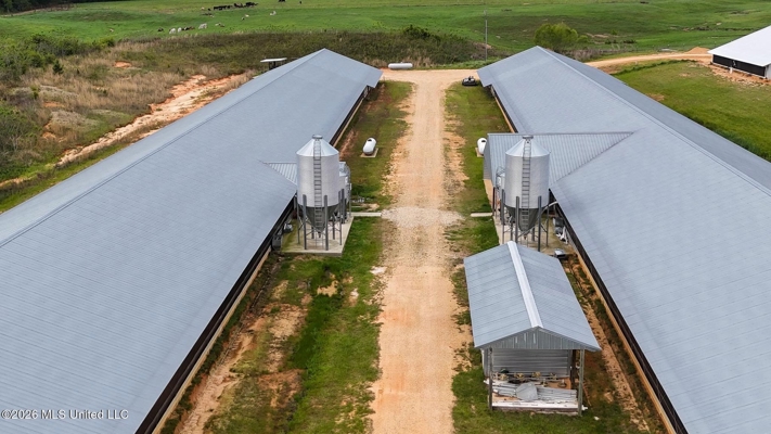 Collins, MS Poultry Pullet Farm for Sale