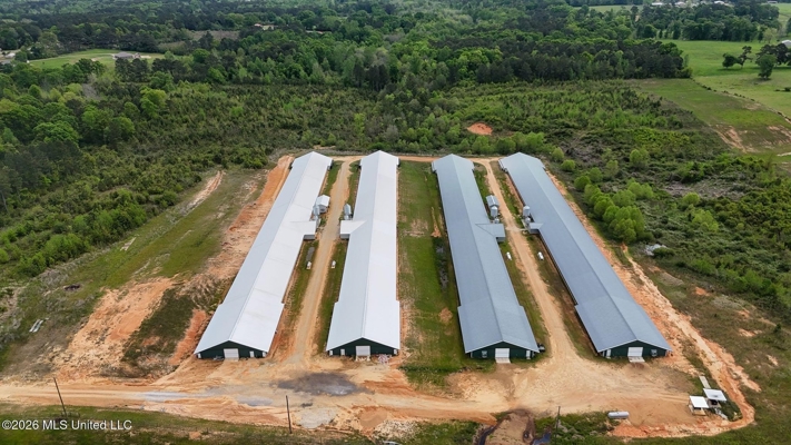 Collins, MS Poultry Pullet Farm for Sale