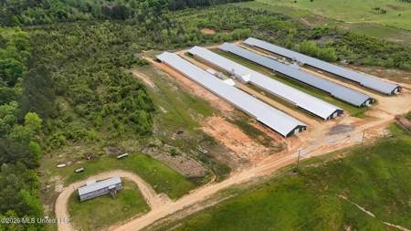 Collins, MS Poultry Pullet Farm for Sale - image 2