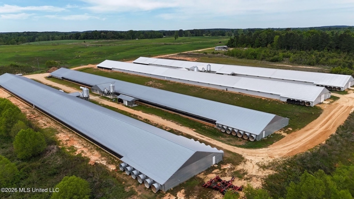 Collins, MS Poultry Pullet Farm for Sale