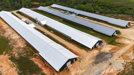 Collins, MS Poultry Pullet Farm for Sale - image 6