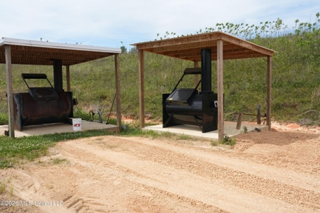 Collins, MS Poultry Pullet Farm for Sale - image 43