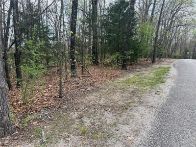 Ridgedale Missouri Building Lot Ozarks Paradise Village For Sale - image 2