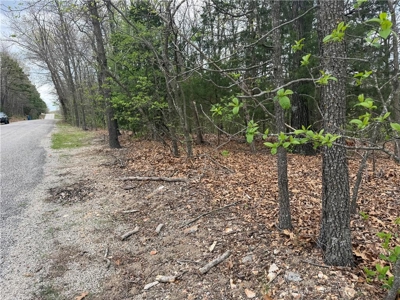 Ridgedale Missouri Building Lot Ozarks Paradise Village For Sale - image 5