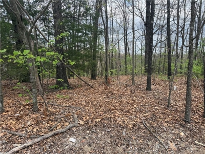 Ridgedale Missouri Building Lot Ozarks Paradise Village For Sale - image 3