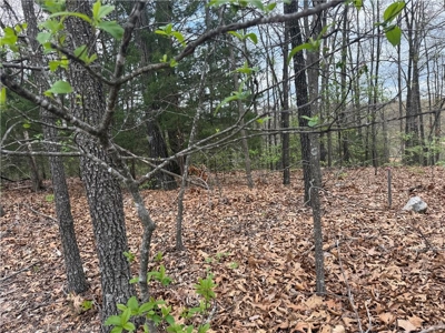 Ridgedale Missouri Building Lot Ozarks Paradise Village For Sale - image 4