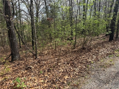 Two Building Lots Ridgedale Missouri For Sale Near Top of the Roc - image 3