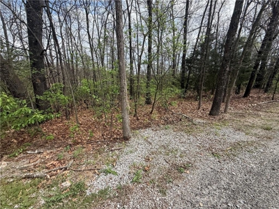 Two Building Lots Ridgedale Missouri For Sale Near Top of the Roc - image 7