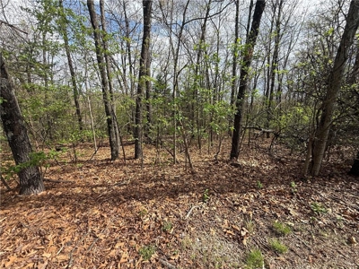 Two Building Lots Ridgedale Missouri For Sale Near Top of the Roc - image 5