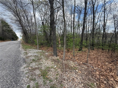 Two Building Lots Ridgedale Missouri For Sale Near Top of the Roc - image 9