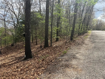 Two Building Lots Ridgedale Missouri For Sale Near Top of the Roc - image 2