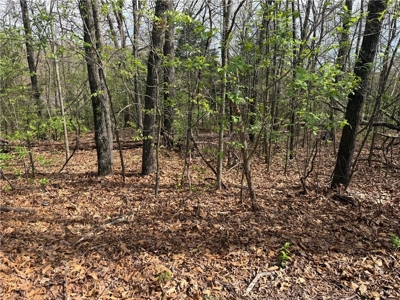 Two Building Lots Ridgedale Missouri For Sale Near Top of the Roc - image 4