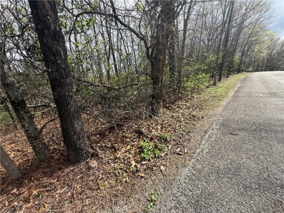 Two Building Lots Ridgedale Missouri For Sale Near Top of the Roc - image 6