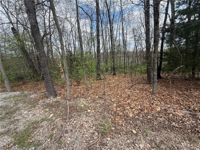 Two Building Lots Ridgedale Missouri For Sale Near Top of the Roc - image 8