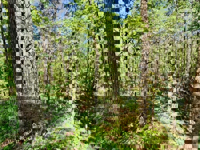 Doublewide Country Home on Acreage in Saltillo, Mississippi - image 35