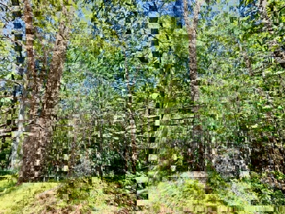 Doublewide Country Home on Acreage in Saltillo, Mississippi - image 40