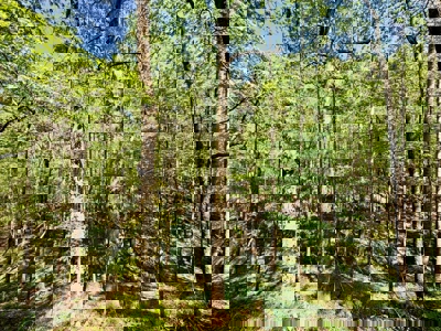 Doublewide Country Home on Acreage in Saltillo, Mississippi - image 39