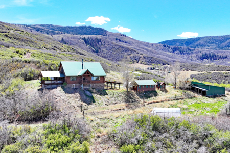 Colorado Log Home For Sale with Acreage, National Forest Access - image 1