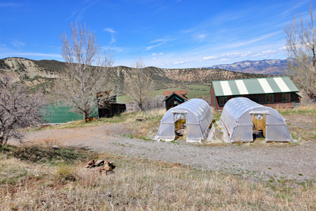 Colorado Log Home For Sale with Acreage, National Forest Access - image 33