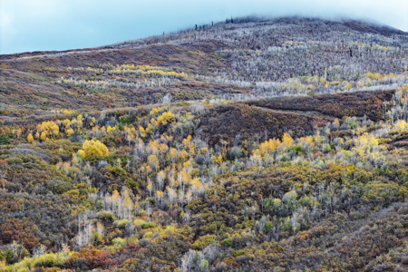 Colorado Log Home For Sale with Acreage, National Forest Access - image 41