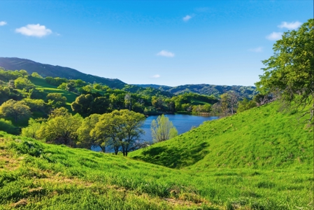 Gorgeous Custom Country Home 20 Acres Vacaville, CA Pond! - image 39