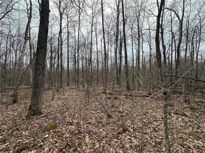 7.5 Acres For Sale in Willow River, Minnesota - image 12