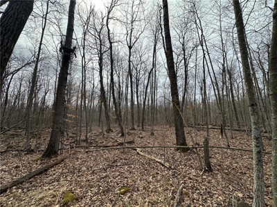 7.5 Acres For Sale in Willow River, Minnesota - image 13