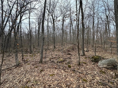 7.5 Acres For Sale in Willow River, Minnesota - image 10