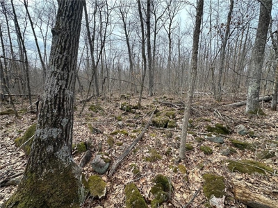 7.5 Acres For Sale in Willow River, Minnesota - image 11