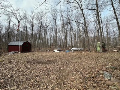 7.5 Acres For Sale in Willow River, Minnesota - image 4