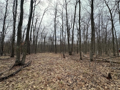 7.5 Acres For Sale in Willow River, Minnesota - image 15
