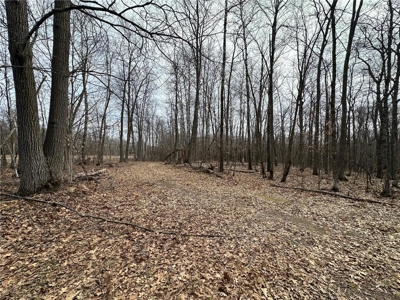 7.5 Acres For Sale in Willow River, Minnesota - image 8