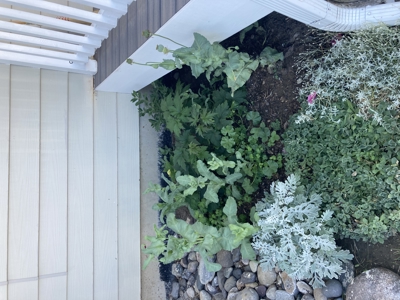 Beautiful Townhome For Sale in the Heart of Livingston, MT - image 23