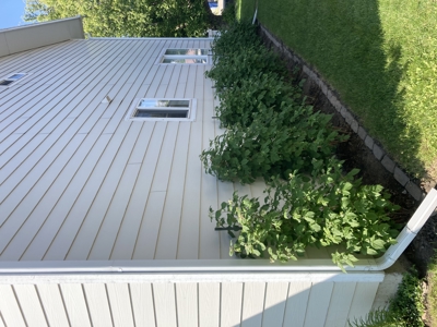 Beautiful Townhome For Sale in the Heart of Livingston, MT - image 2